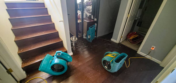 Best Water damage restoration near me  in June Park, FL