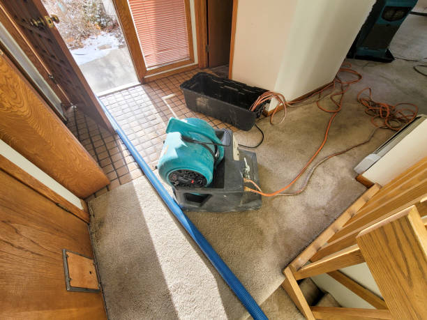 Best 24-hour water damage restoration  in June Park, FL
