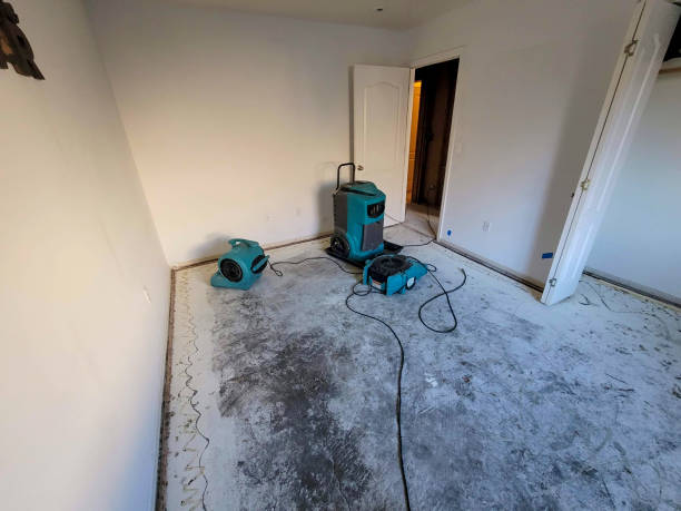 Best Water damage restoration near me  in June Park, FL
