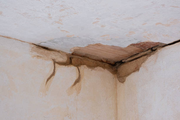 Best Carpet water damage restoration  in June Park, FL