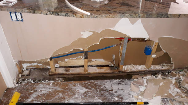 Best Water damage restoration near me  in June Park, FL