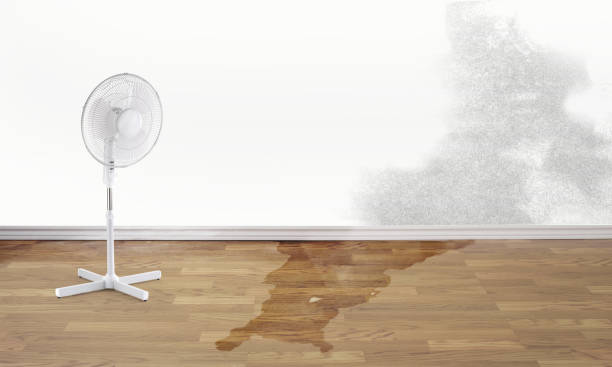  June Park, FL Water damage restoration Pros