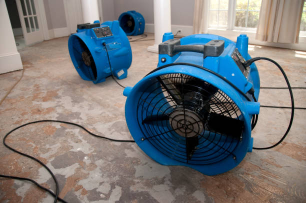 Best Water damage restoration mold remediation  in June Park, FL