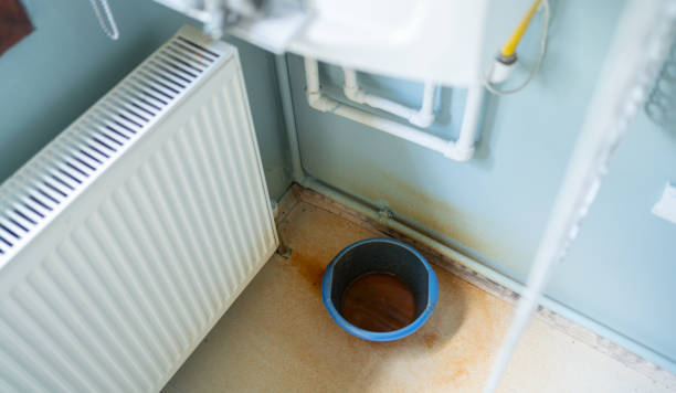 Best Water damage restoration services  in June Park, FL