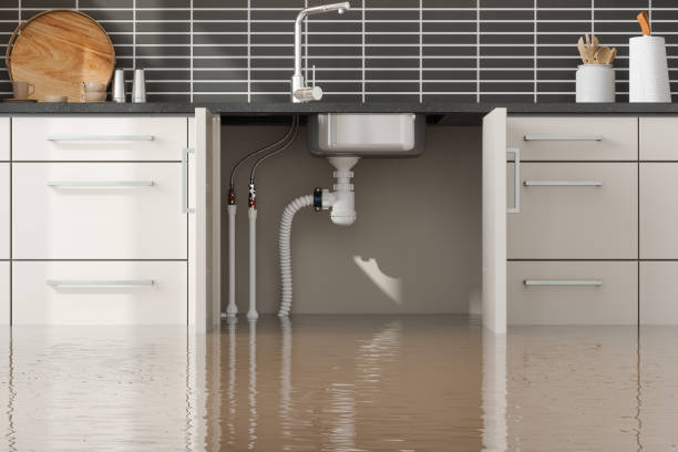 Best Flood restoration services  in June Park, FL