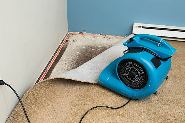 Water damage restoration insurance claims in June Park, FL
